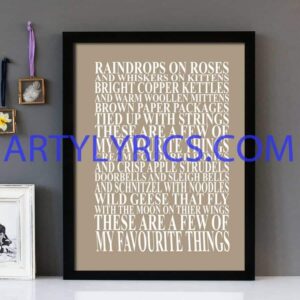 "My Favorite Things" Sound Of Music - Framed Lyrics Wall Art Design