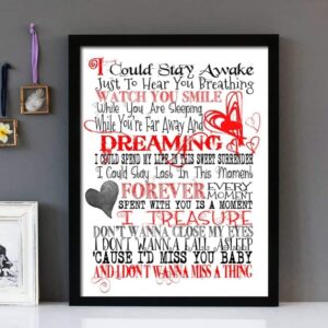 Aerosmith - Don't Wanna Miss A Thing - Framed Lyrics Wall Art Design