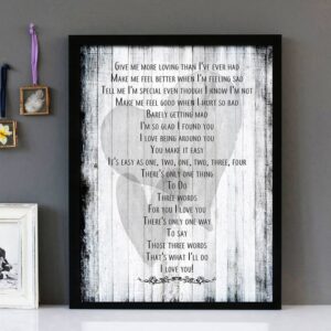"1234" - Plain White T's - Framed Lyrics Wall Art Design